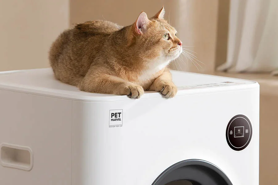 cat auto litter box